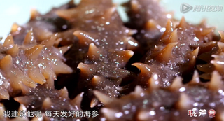 海參進(jìn)補(bǔ)從娃娃抓起，兒童吃海參的好處！