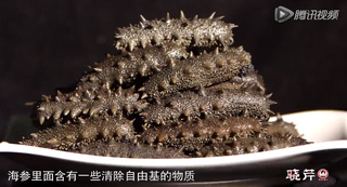孝敬父母，為何首選海參？