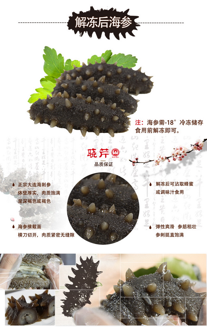 海參,大連海參,曉芹海參,即食海參,海參品牌,年貨禮盒 海參,大連海參,曉芹海參,即食海參,海參品牌,年貨禮盒