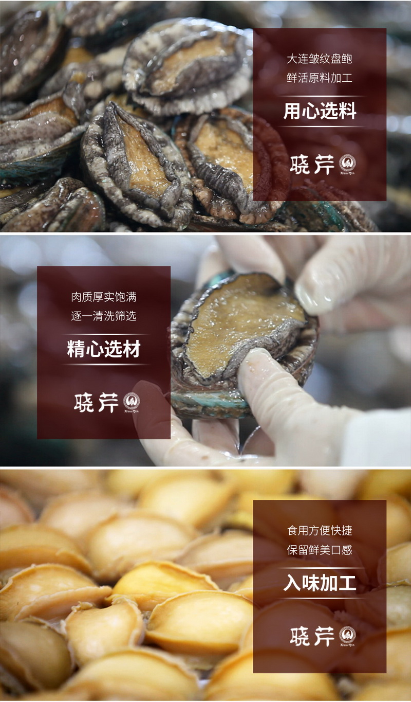 鮑魚(yú) ,大連鮑魚(yú) ,曉芹鮑魚(yú) ,鮑魚(yú)品牌,即食鮑魚(yú),皺紋盤鮑